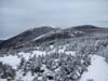 Mt Eisenhower from Trail