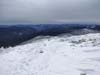 Trail near Mt Eisenhower