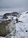 Frozen Ice along Trail