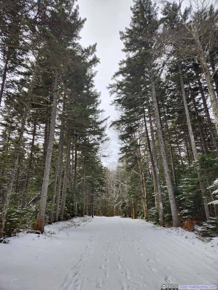 Mt Clinton Road