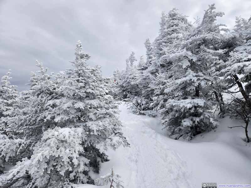Snowy Path to Mt Pierce