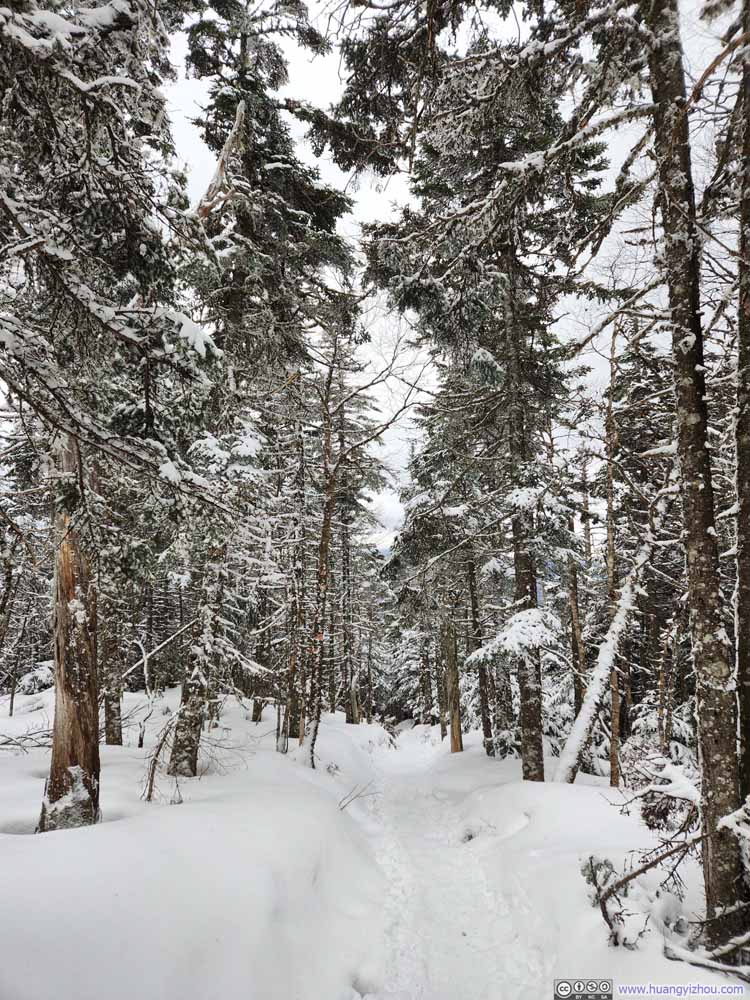 Trail