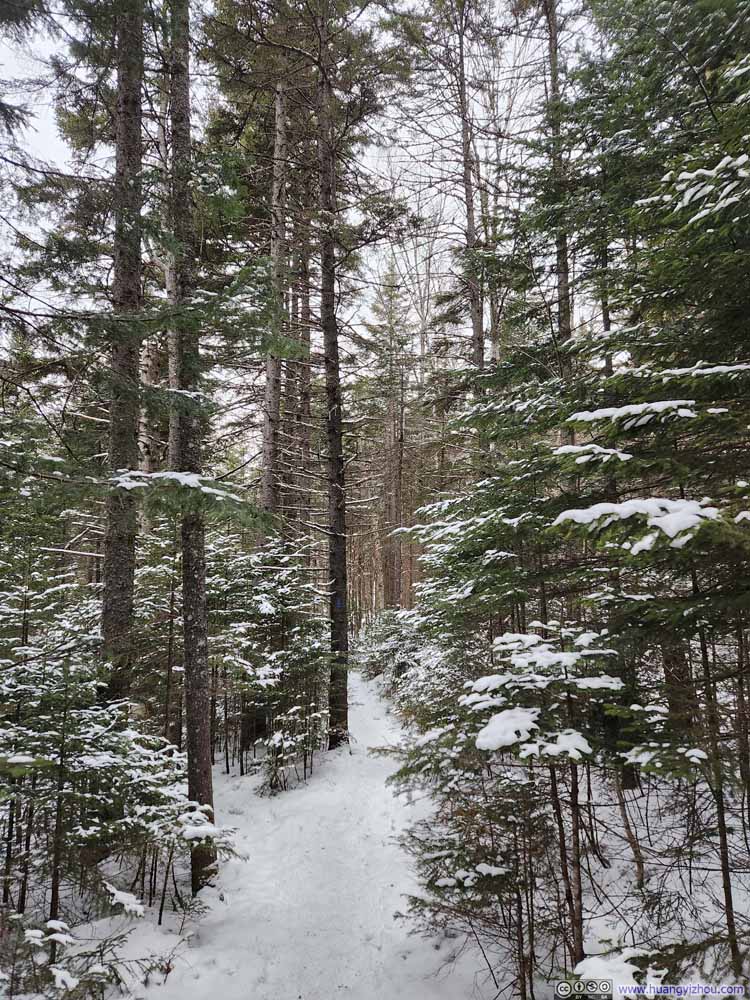 Trail