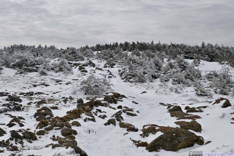Path to Mt Pierce Summit