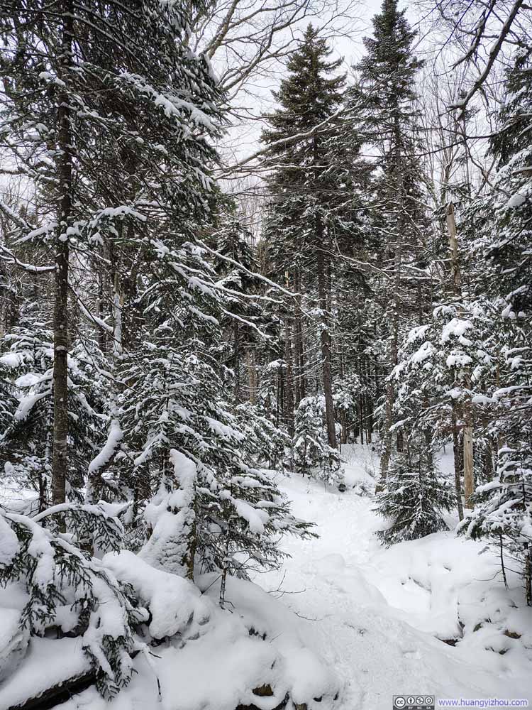 Trail