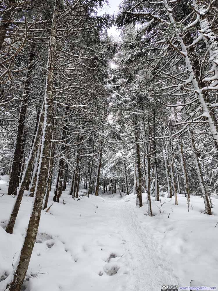 Trail