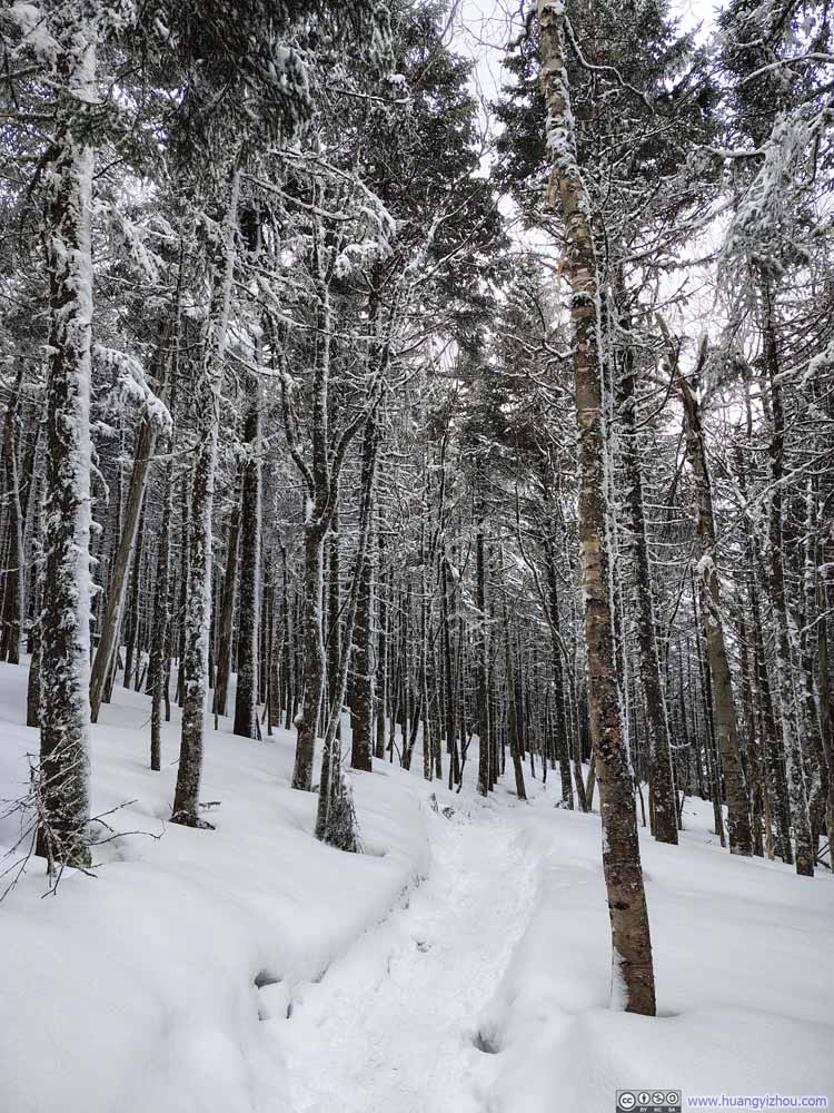 Trail