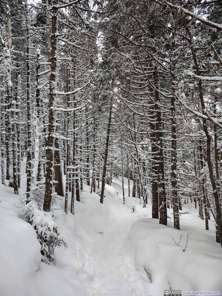 Trail