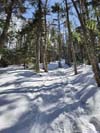 Steep Trail
