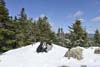 Summit Area of Mount Avalon