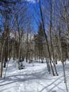 Trail