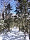 Trail