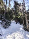 Steep Trail