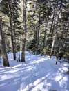 Steep Trail