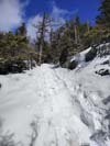 Steep Trail to Mount Avalon