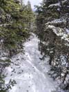 Narrow Packed Trail