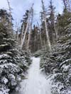 Trail