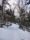 Trail