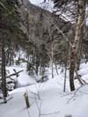 Snow-Covered Creek along Trail