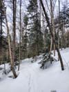 Trail