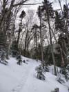 Trail