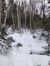 Trail