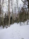 Trail