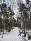 Trail
