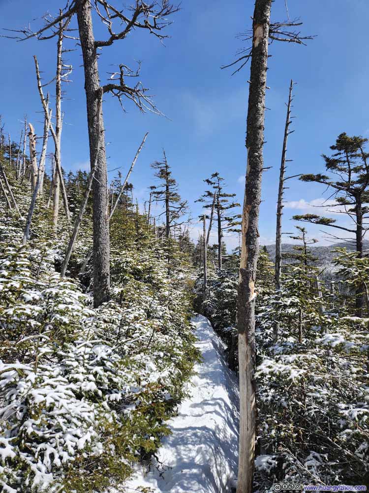 Narrow Trail