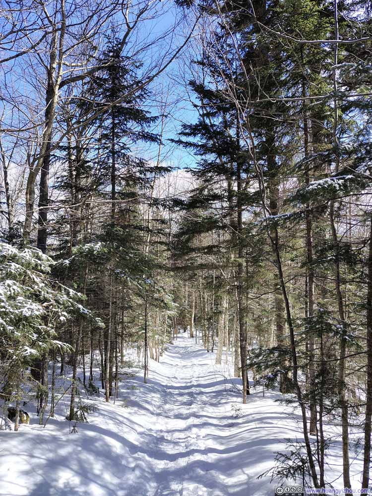 Trail
