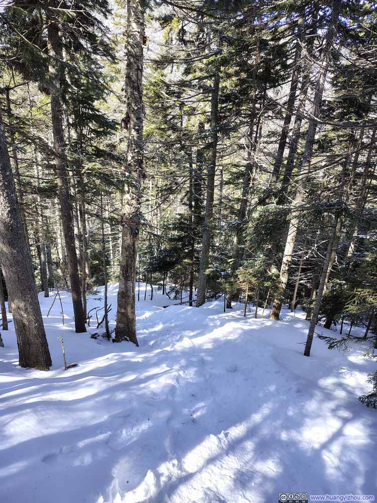 Steep Trail