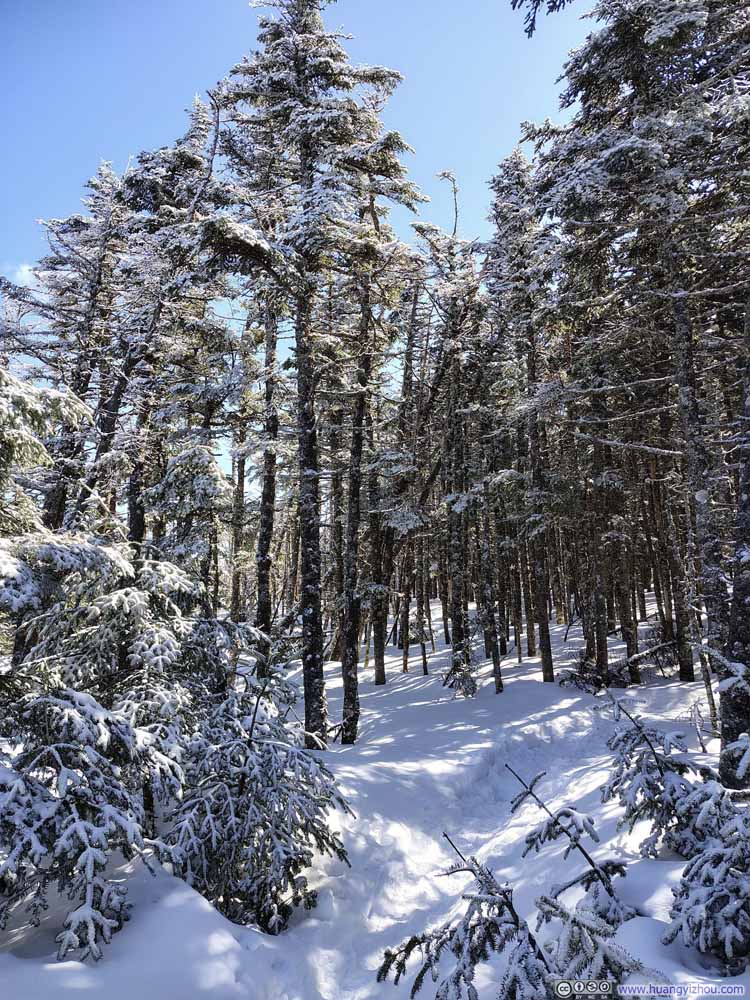 Trail