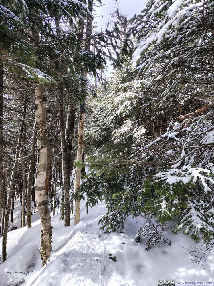 Obstacle along Trail