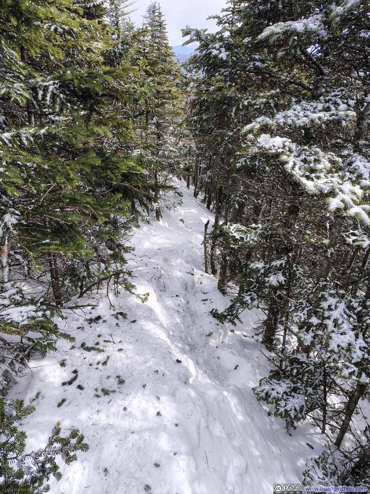 Narrow Packed Trail