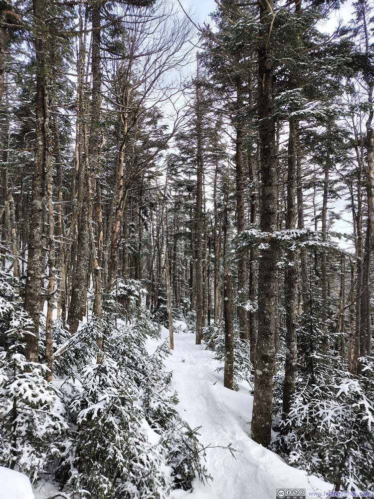 Trail