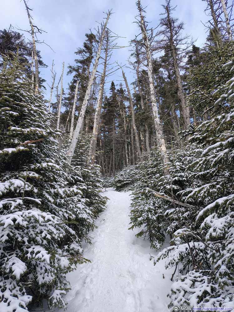Trail