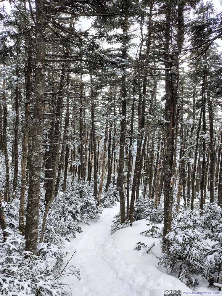 Trail