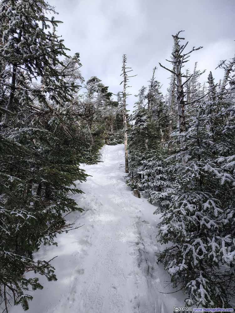 Steep Trail to Mt Field