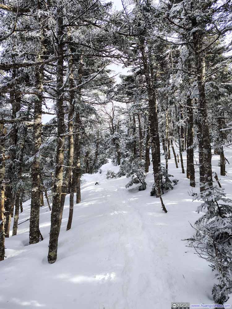 Trail