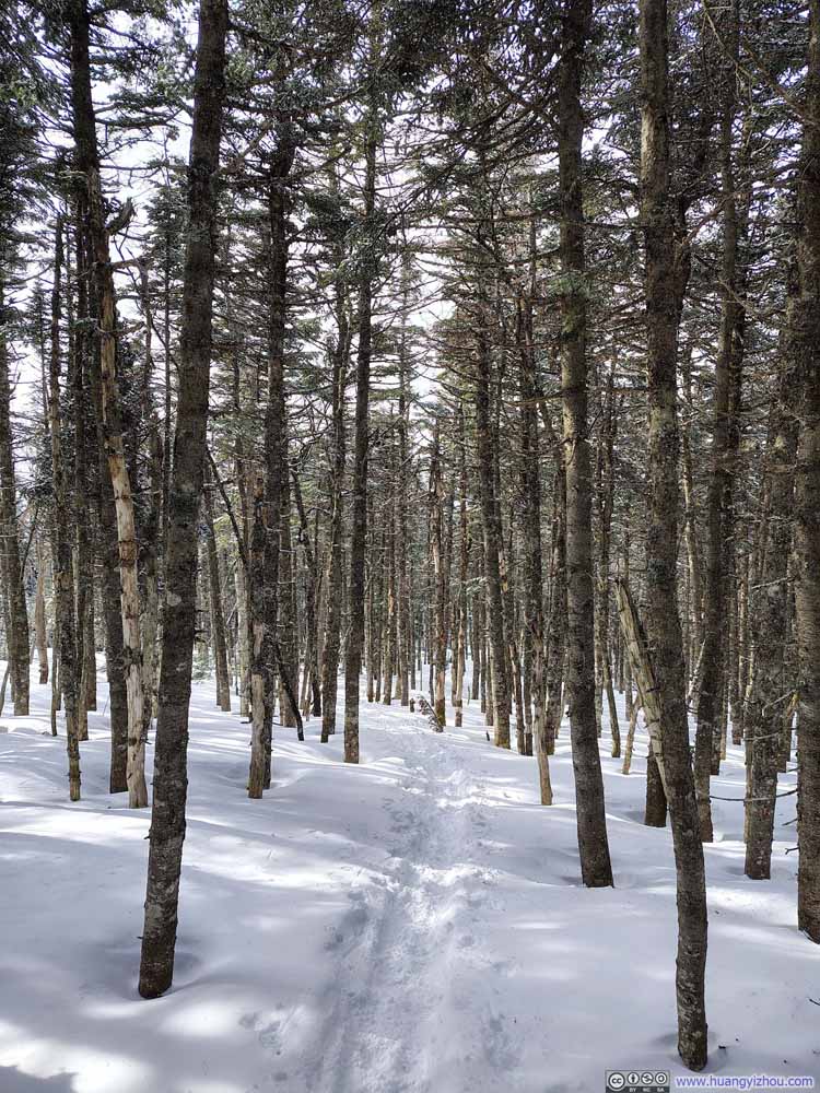 Trail