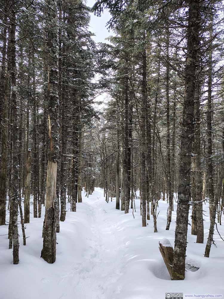 Trail