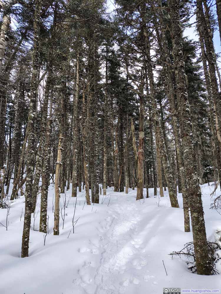 Trail