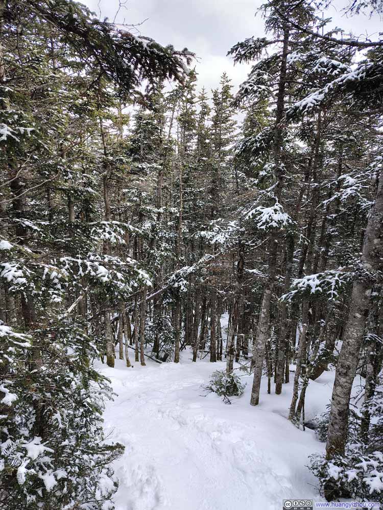 Trail