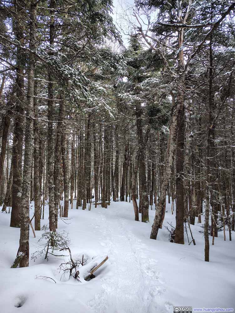 Trail