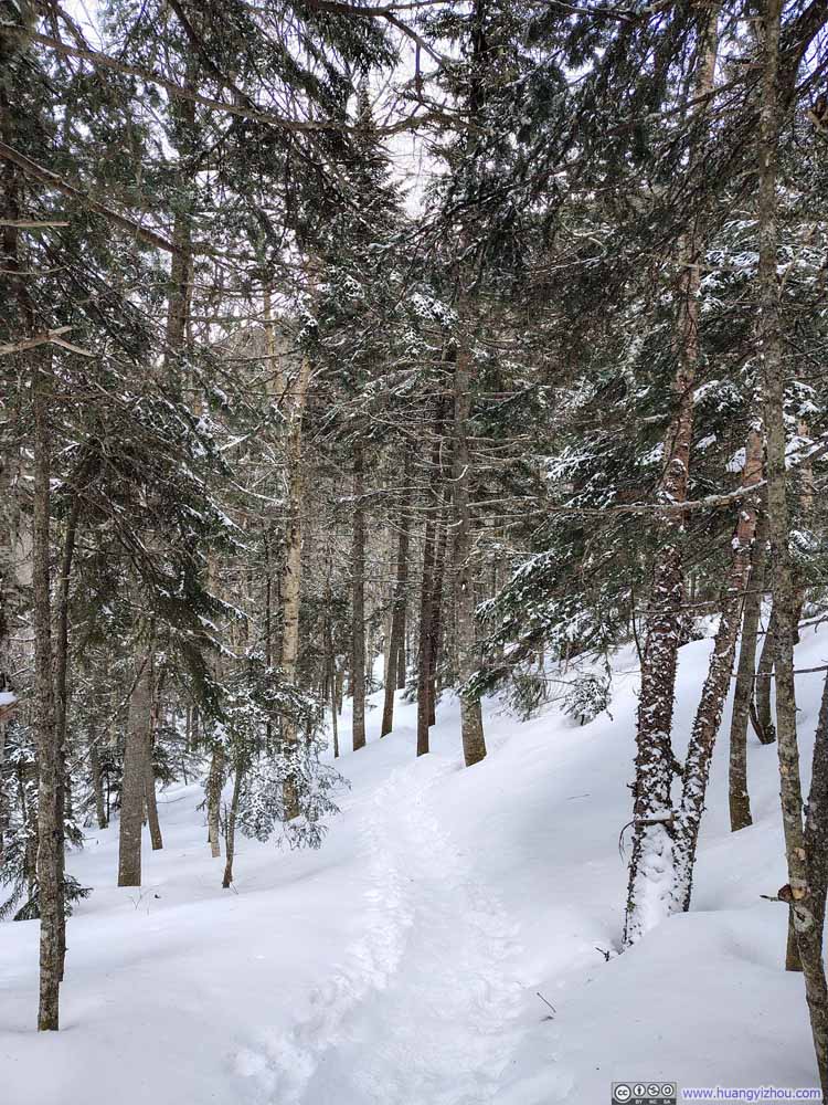 Trail