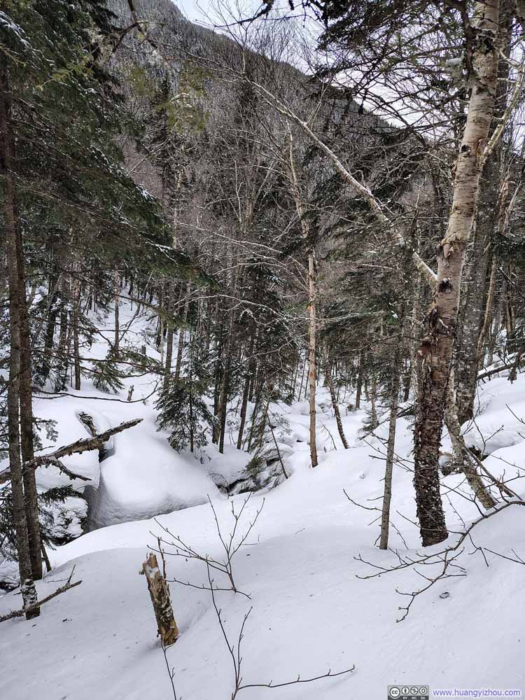 Snow-Covered Creek along Trail