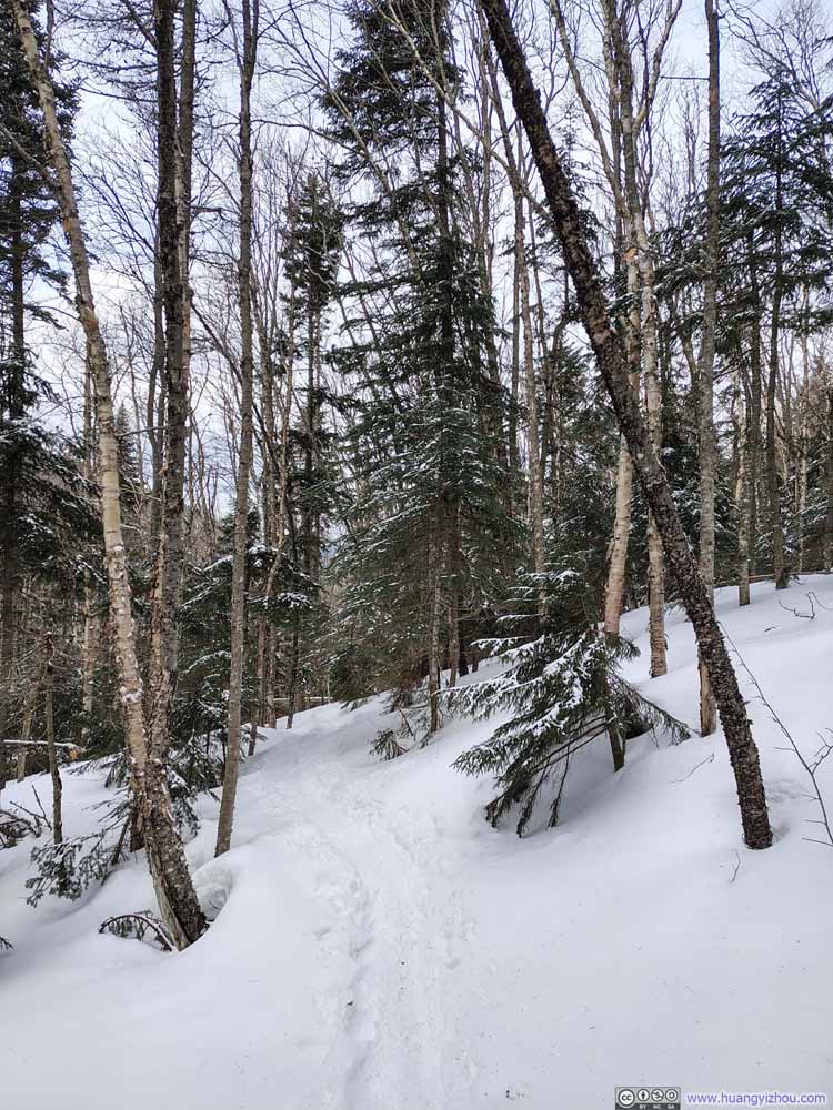 Trail