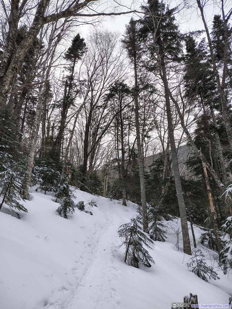Trail