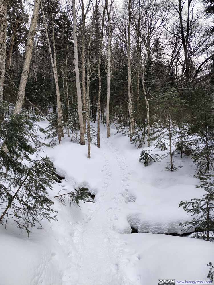 Trail