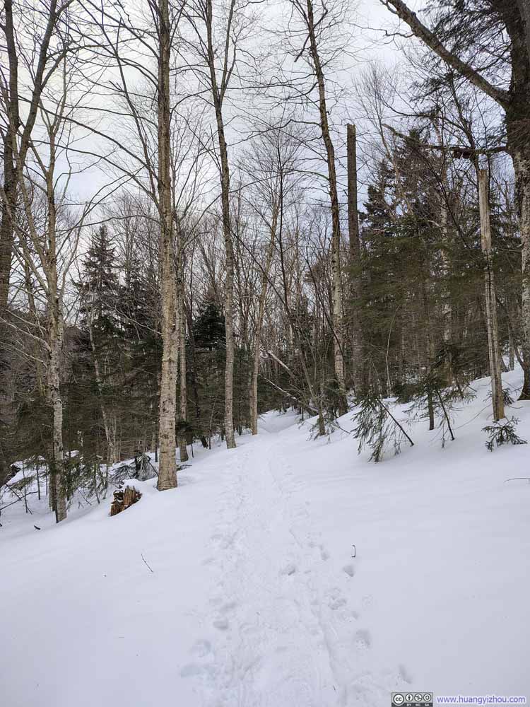 Trail